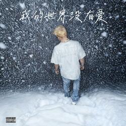 我的世界没有爱