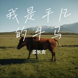 我是平凡的牛马