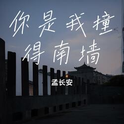 你是我撞的南墙