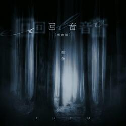回音