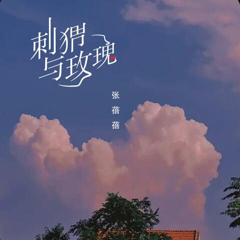 刺猬与玫瑰