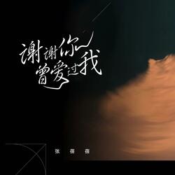 谢谢你曾爱过我