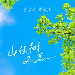 山楂树之恋