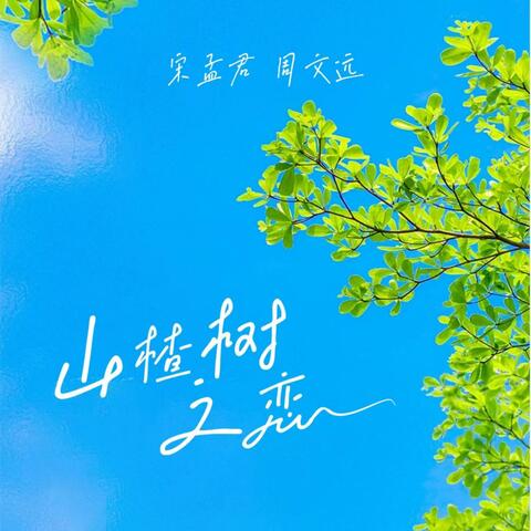 山楂树之恋