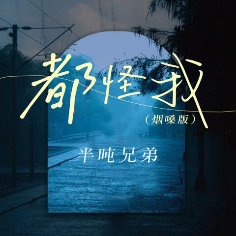 都怪我
