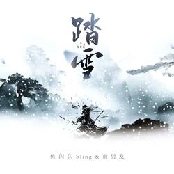 踏雪