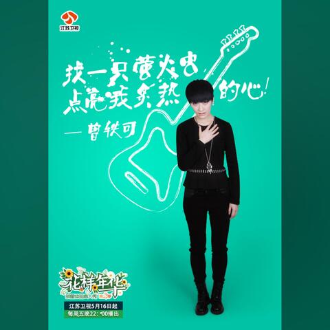 花样年华（江苏卫视《花样年华 2》主题曲）