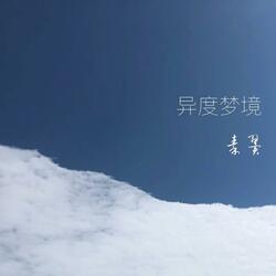 异度梦境