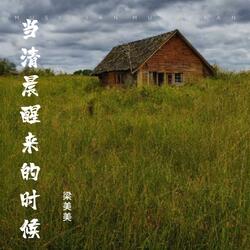 当清晨醒来的时候