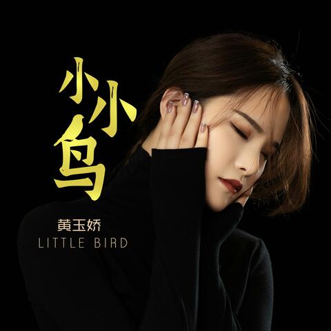 小小鸟
