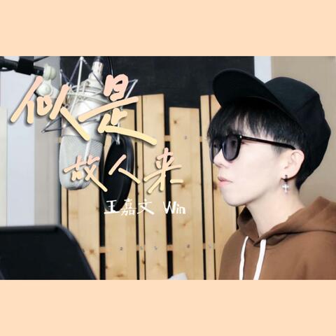 似是故人来