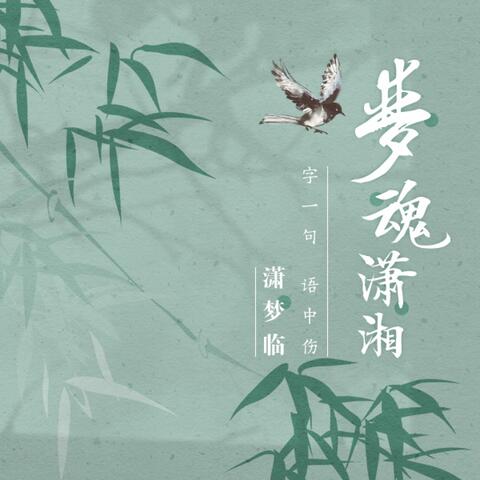 梦魂潇湘