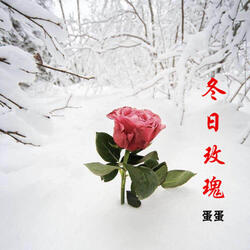 冬日玫瑰
