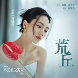 荒丘（电视剧《不完美受害人》插曲）
