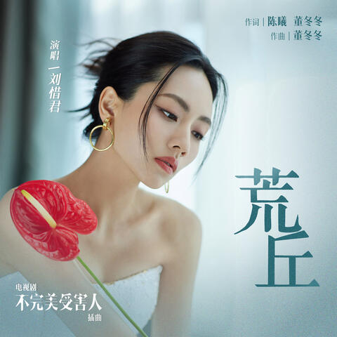 荒丘（电视剧《不完美受害人》插曲）