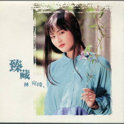 臻藏