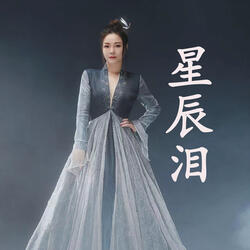 星辰泪（《星辰变》游戏主题曲）
