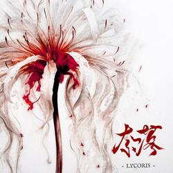 Lycoris