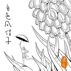 白色风信子
