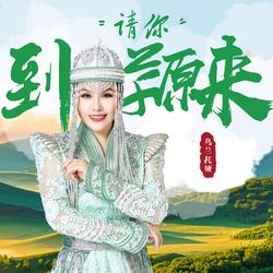请你到草原来
