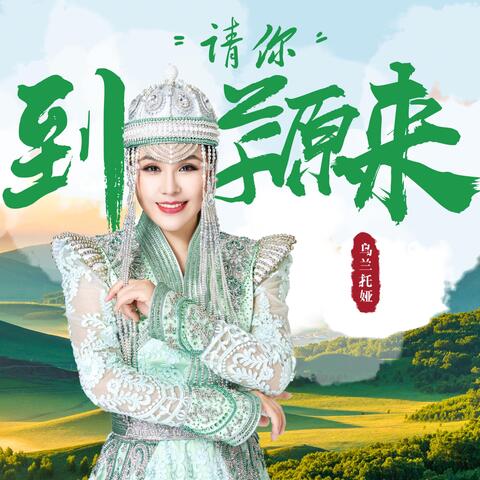 请你到草原来