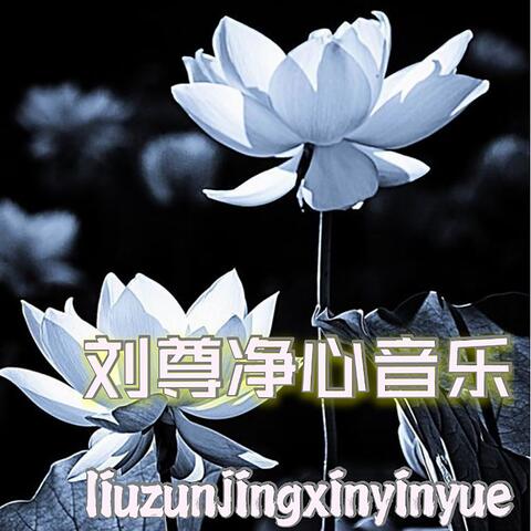 刘尊净心音乐