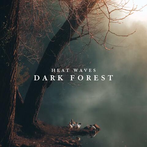Dark Forest