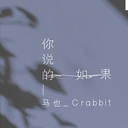 你说的如果