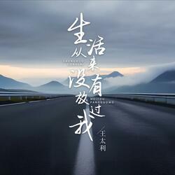 生活从来没有放过我