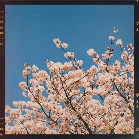 Start of our spring love