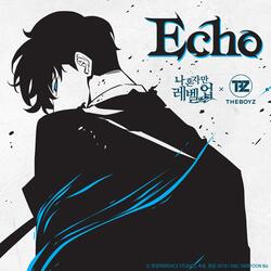 Echo (Inst.)