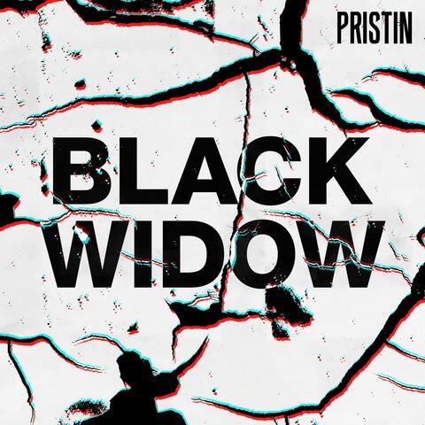 PRISTIN