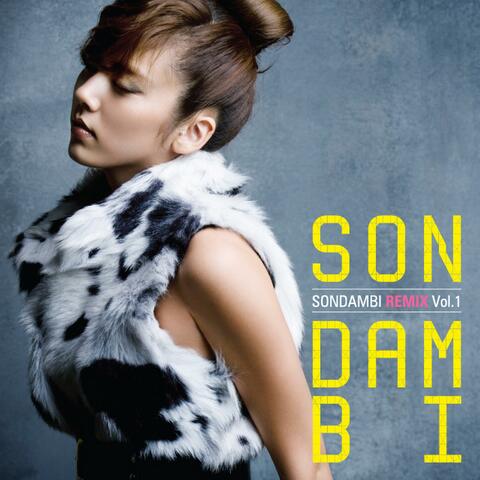 SonDamBi Remix Vol1.