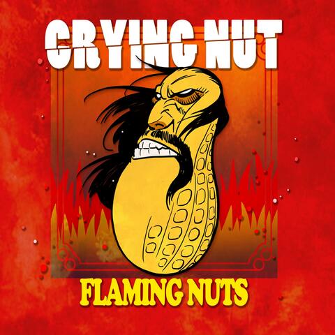 FLAMING NUTS