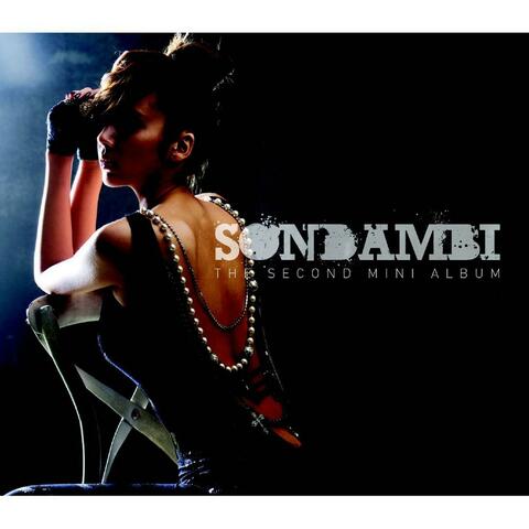 Son Dam Bi Mini Album vol. 2