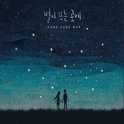 Where the stars rise