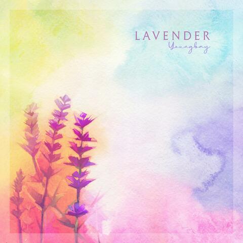 Lavender