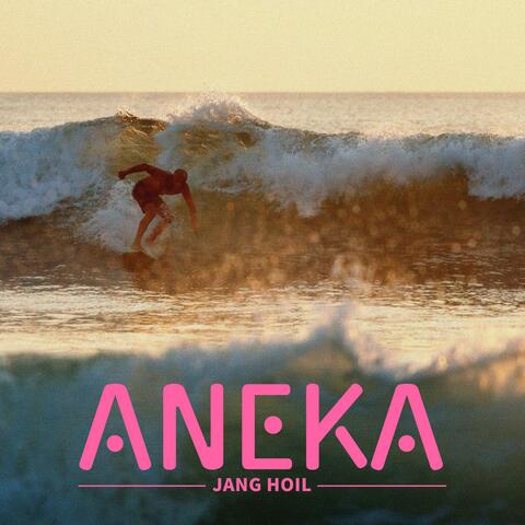 ANEKA