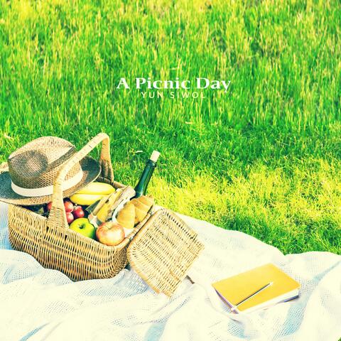 A picnic day