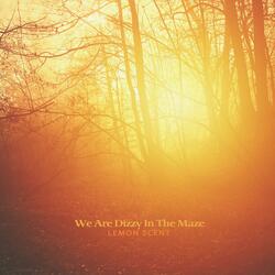 We are dizzy in the maze