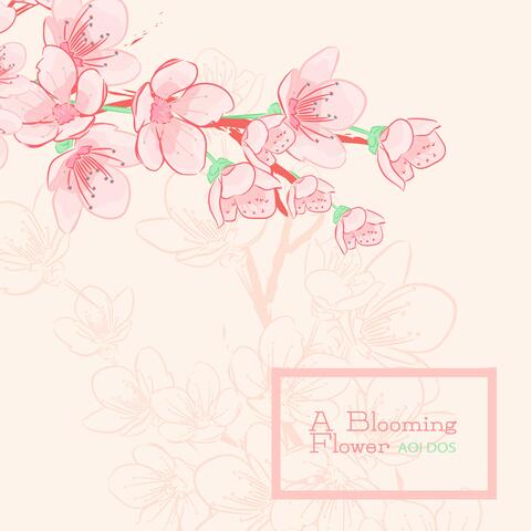 A Blooming Flower