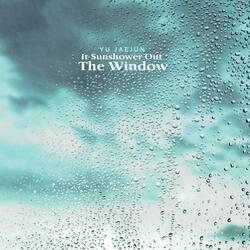 Outside the window