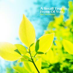 A small tree in front of you