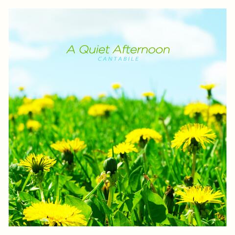 A quiet afternoon