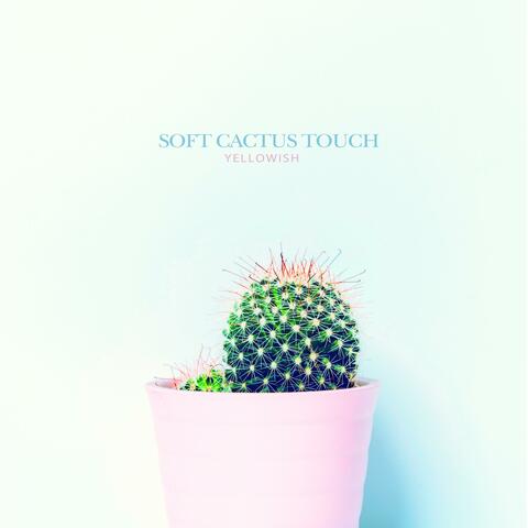 Soft cactus touch