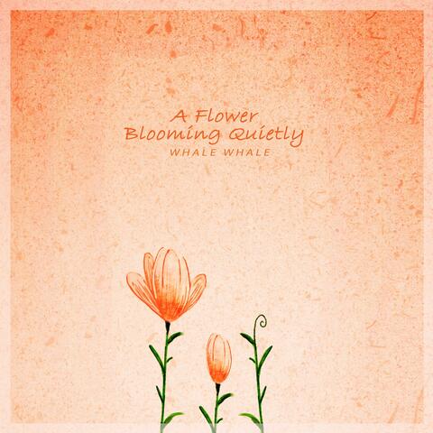 A flower blooming quietly