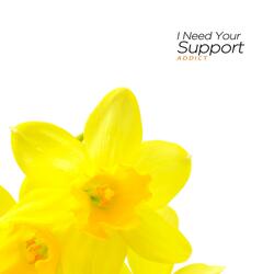 You bring everything