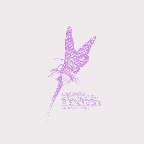 A small giant's flower