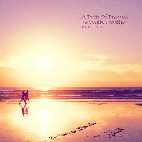 The road of promise to walk together