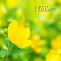 Like A Sunny Spring